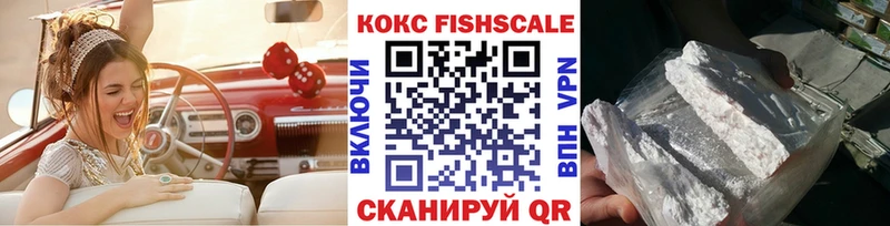 Cocaine FishScale закладка Моршанск