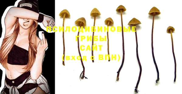 бошки Баксан