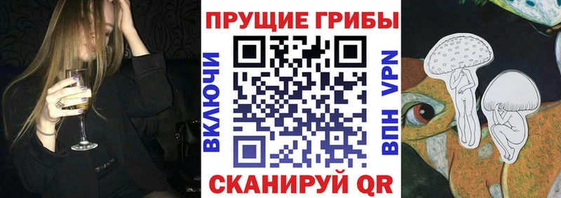Псилоцибиновые грибы ЛСД  закладки  Моршанск 